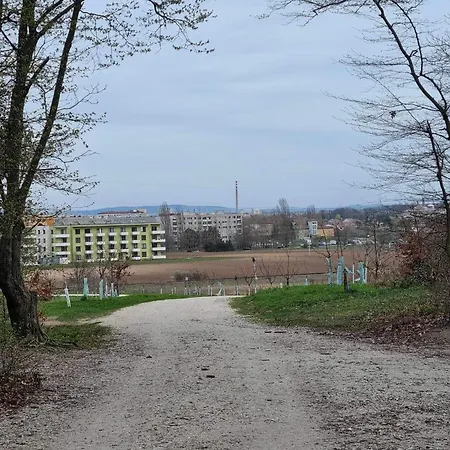 Miluska Břeclav