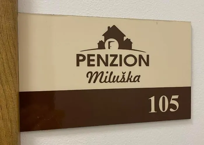 Casa de hóspedes Miluska 3*