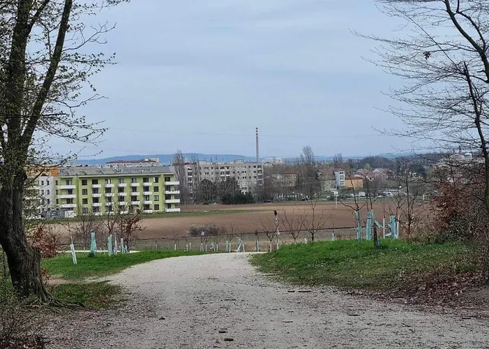 Miluska Břeclav